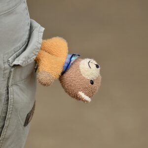 Tutela dei Minori: la CES ha nominato il nuovo Servizio regionale