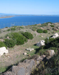 Storia. Le pratiche funerarie in Sardegna: ultima parte